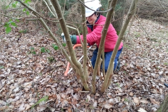 Man-Lan Adams, helping with coppicing as a trainee with the Dunsmore Living Landscape project.