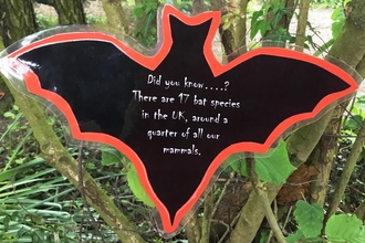 Cut out bat in woodland saying: "Did you know there are 17 bat species in the UK, around a quarter of all our mammals."