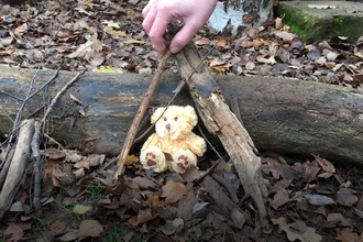 Teddy in woodland den