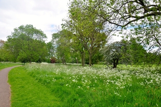 path through Abbey Green Park