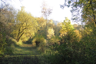 Grassy pathway through Snitterfield Bushes