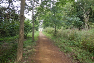 Woodland path through Swift Valley