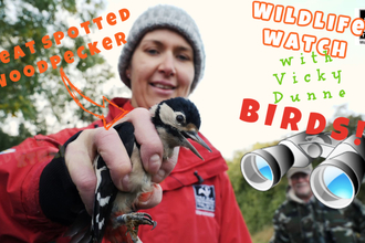 Wildlife Watch - Birds. Education manager, Vicky Dunne, holding Greater Spotted Woodpecker