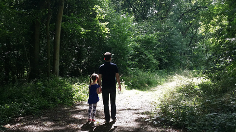 Bubbenhall Wood Family walk