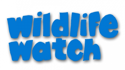 Wildlife Watch Logo (Blue)