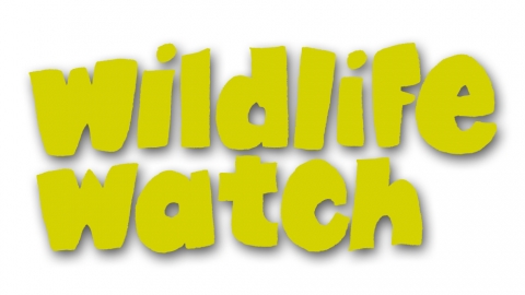 Wildlife Watch Logo (Yellow)