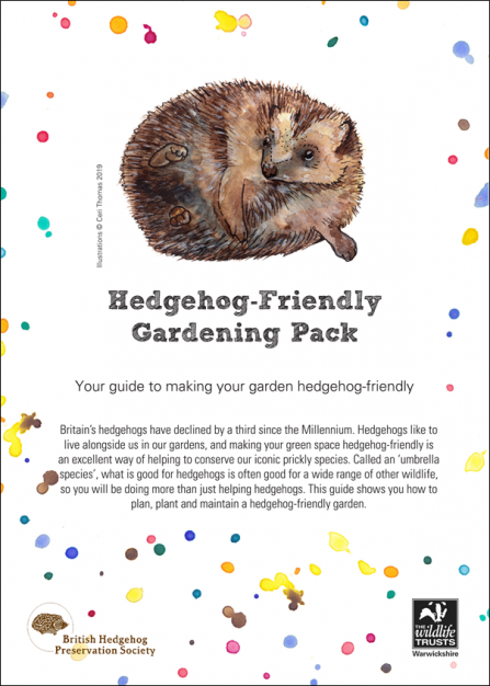 Gardening-with-Hedgehogs-Thumbnail