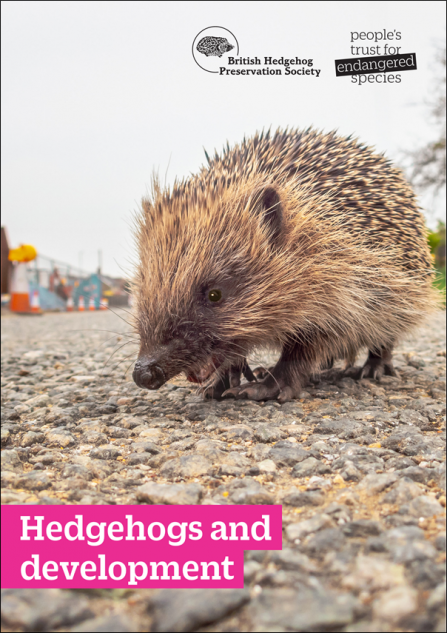 Hedgehogs-and-Development-Thumbnail