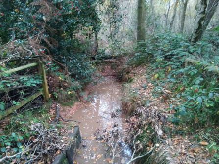 Ditch at CW Jo Hands