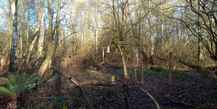 View from Woodland Hide WH Jo Hands