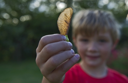 Boy holding up a sycamore seed, credit David Tipling/2020VISION