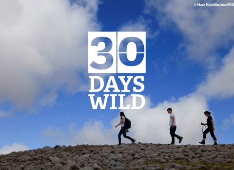 30 Days Wild Ridge Walk Mark Hamblin/2020Vision