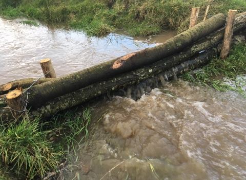 Leaky barrier at Slashpitts Farm during rainfall
