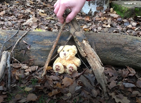 Teddy in woodland den