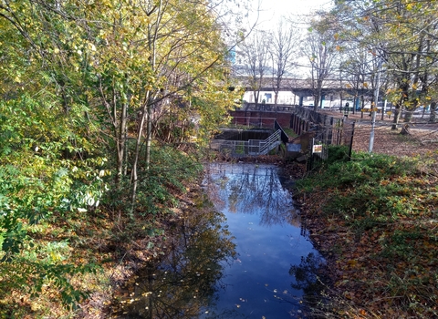 River Sherbourne near Coventry centre C Temple