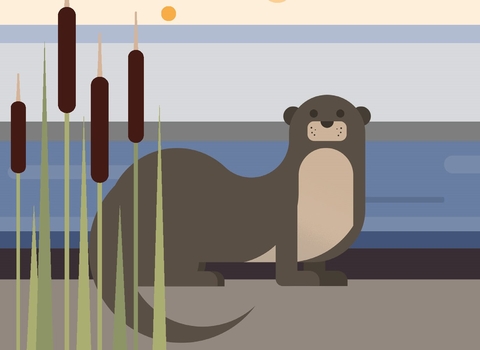 Appeal graphic 2021 Otter