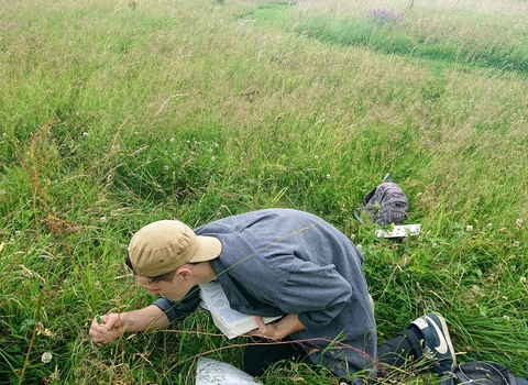 grassland surveying