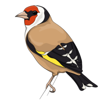 A cutout of a goldfinch
