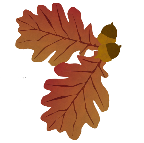 A cutout of an oak leaf