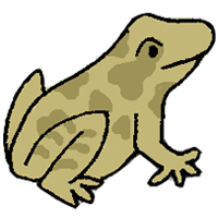 An illustration of a frog