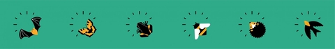 Sign up thin header light green