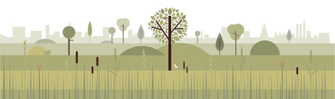 A landscape with trees and grasses