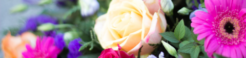 A bouquet of flowers
