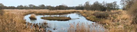 Steetley Hide at Brandon Marsh Nature Reserve