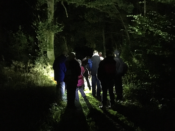 Moth Night 2019 Wappenbury Wood Credit Paula Irish