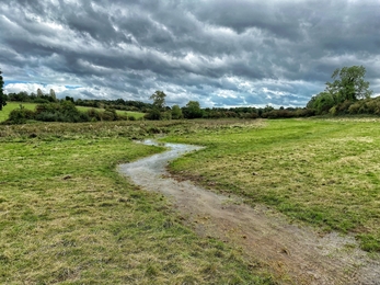 North Brook