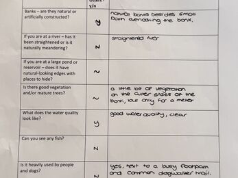 a completed worksheet for otter surveys asking questions like what does the water quality look like, can you see fish
