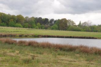 Bubbenhall Meadow