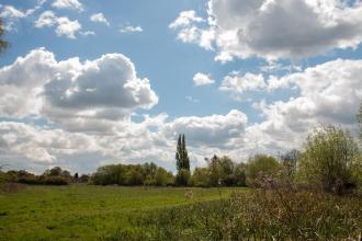 Leam Valley nature reserve New Leaf Images