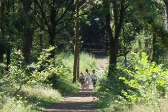 Oakley Wood family walk Steven Cheshire