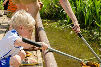 Pond dipping Lee Griffiths