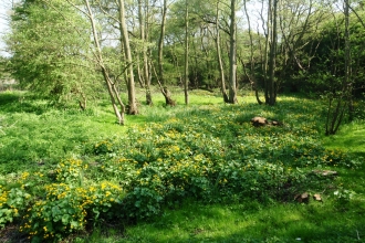 Stonebridge Meadows Pete Thorne