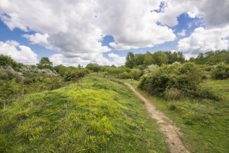 Ufton Fields Steven Cheshire