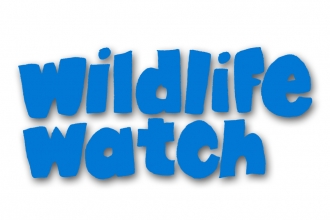 Wildlife Watch Logo (Blue)