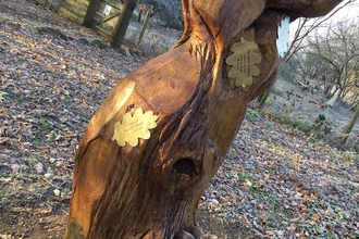 Memorial Tree at Brandon Credit Paula Irish