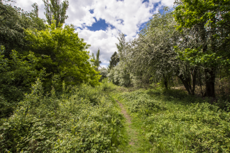 Ufton Fields Nature Reserve