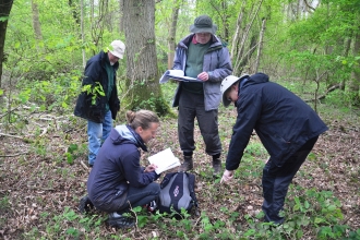 Woodland Condition Survey