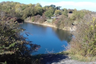 Bishop's Hill