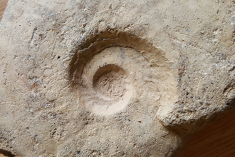 rock
