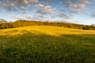 Radway Meadows Evening May 2019 Credit Steve Gale