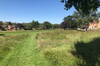 Rougher grass. Credit Ian Jelley