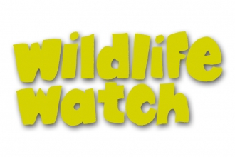 Wildlife Watch Logo (Yellow)