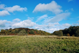 2019 Brandon Reach & Piles Coppice acquired