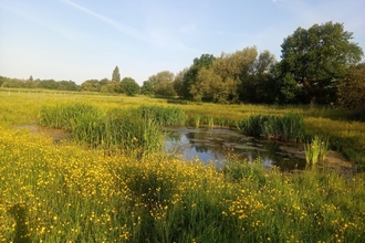 Lake View Park, credit Jake McAllister