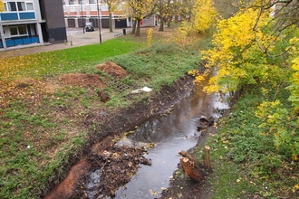 River Sherbourne Anna Squires