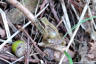 Froglet Amy and Mum Susan 